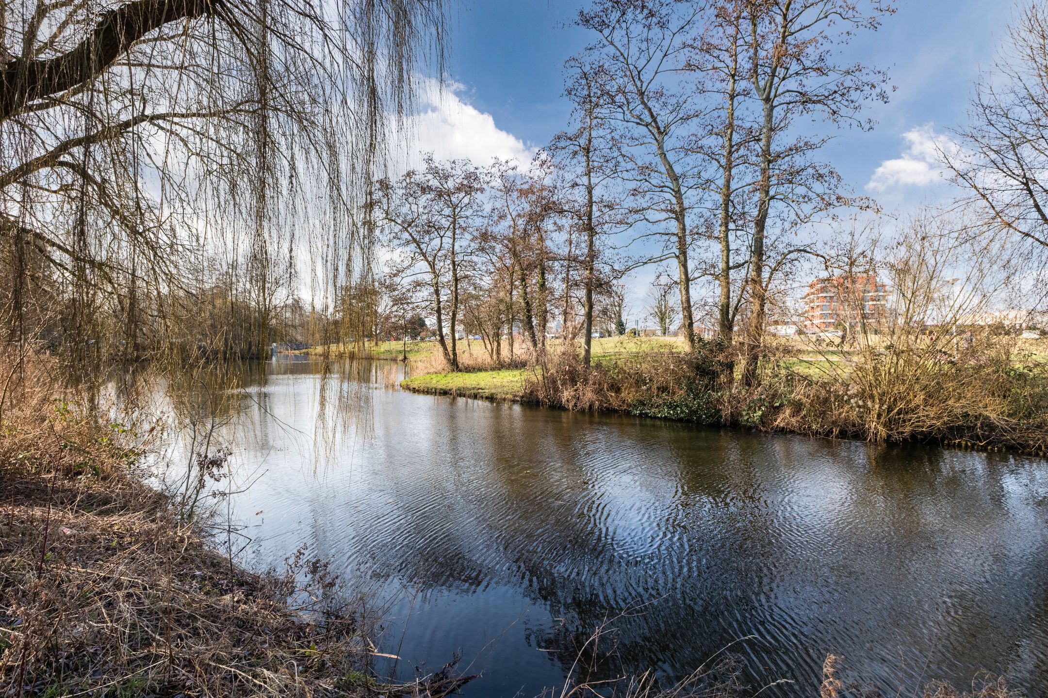 Foto 45 van Loodskotterhof 18