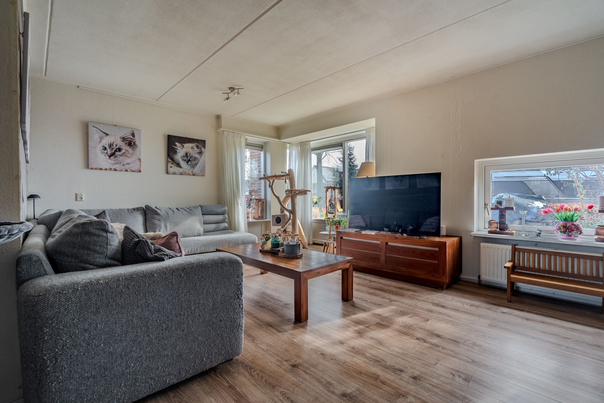 Photo 21 of Stuurboord 67