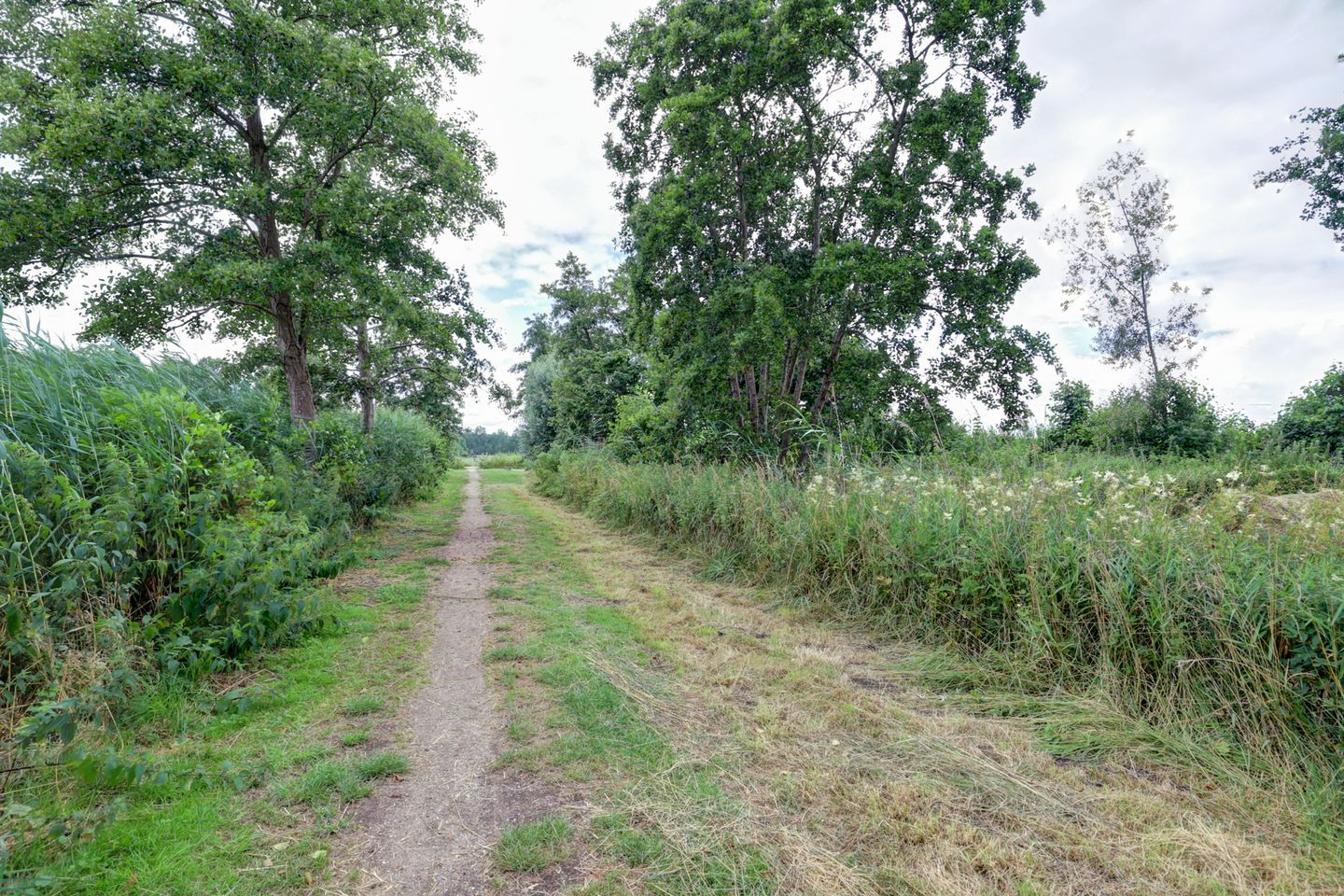 Foto 44 van Bieselaar 26