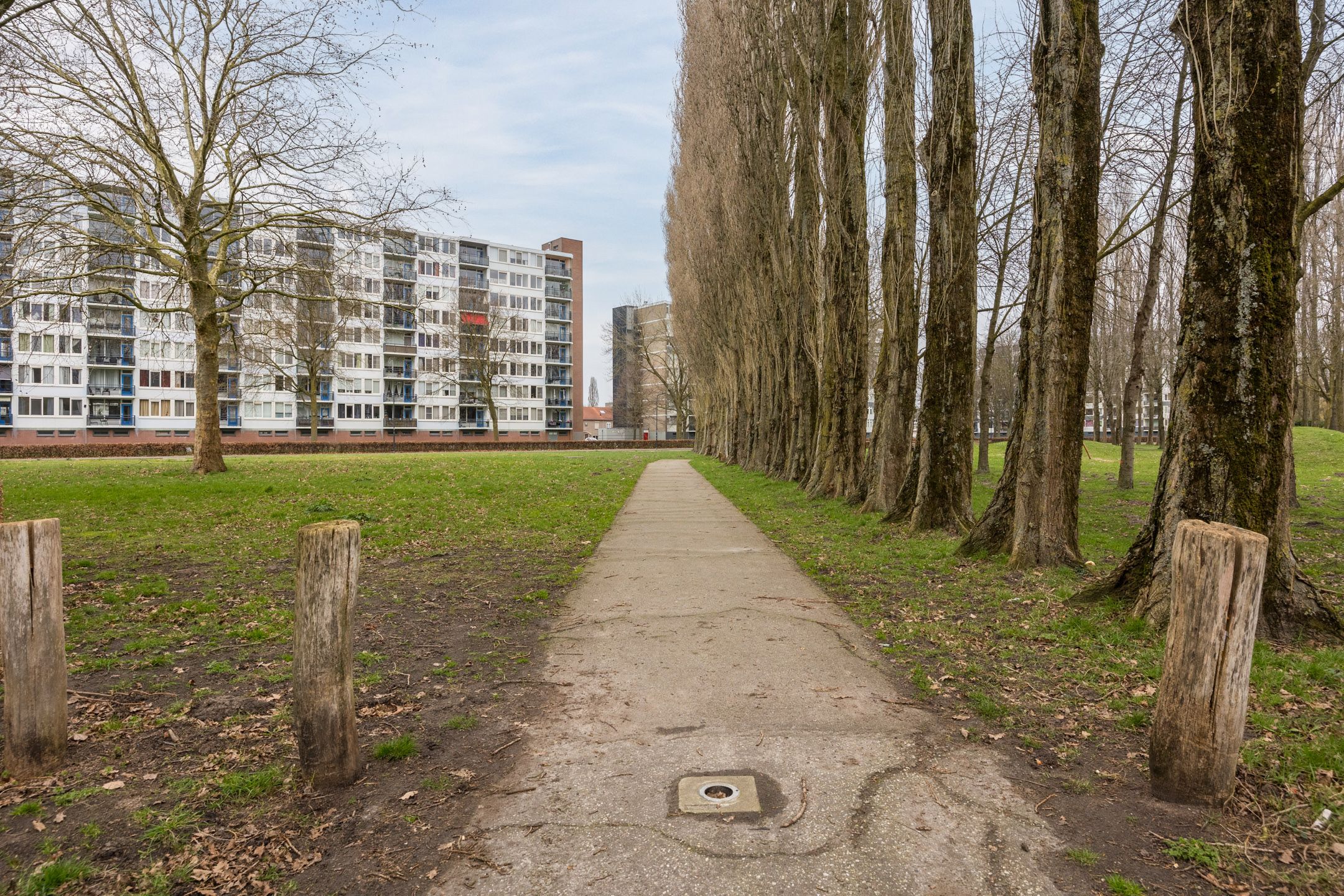 Foto 51 van Willem van Boelrestraat 9