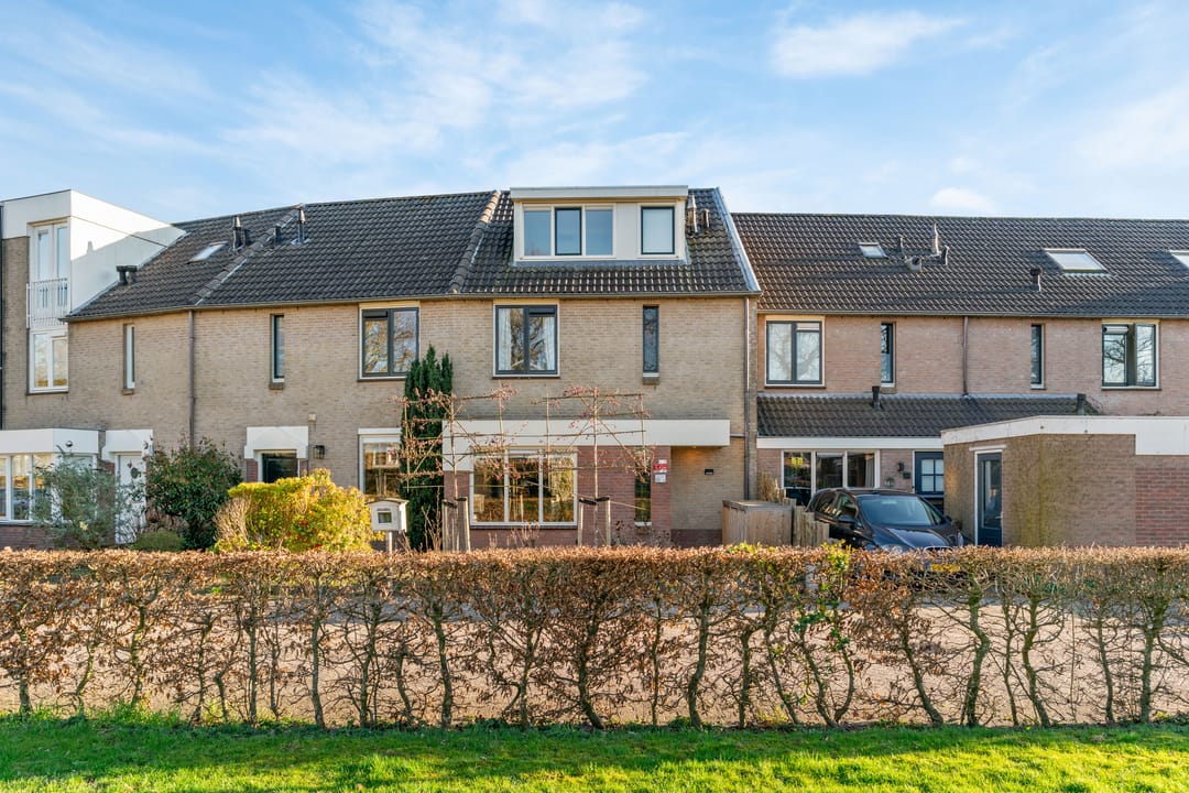 Photo 1 of Daslook 20