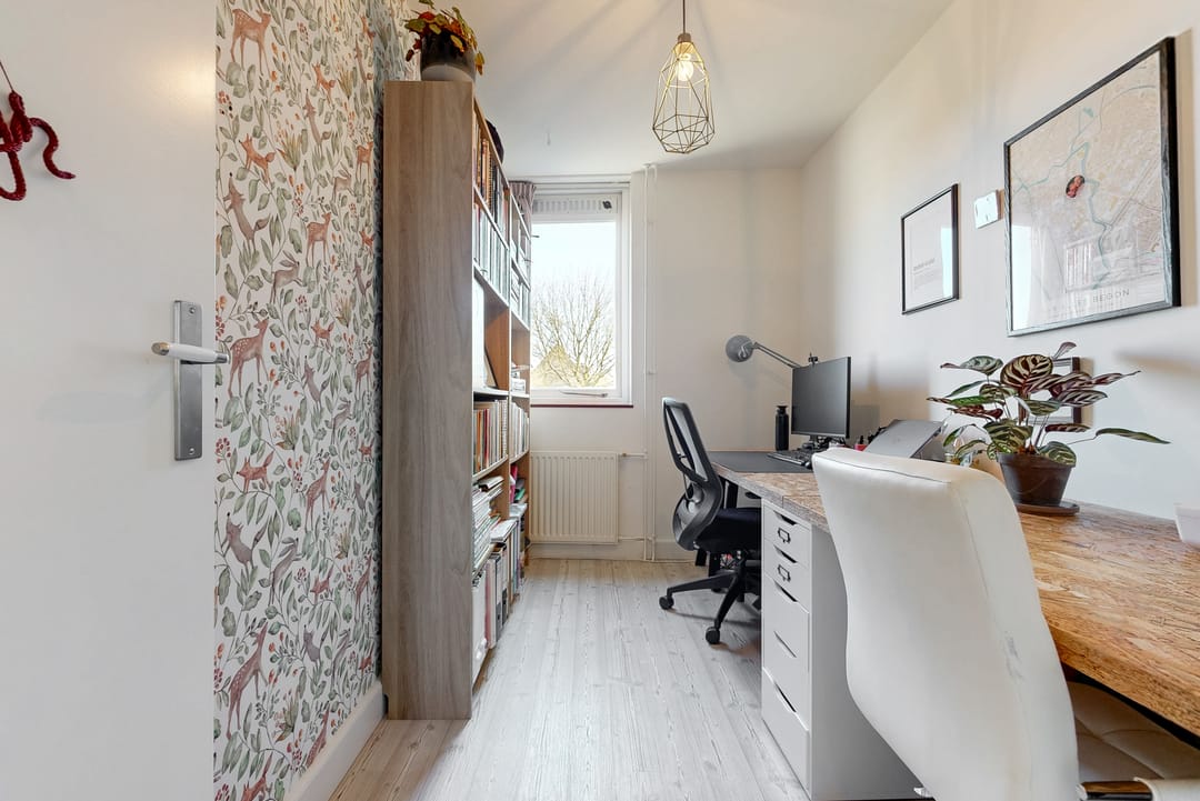 Photo 13 of Daslook 20