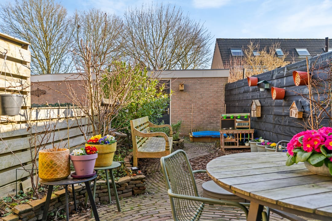 Photo 22 of Daslook 20