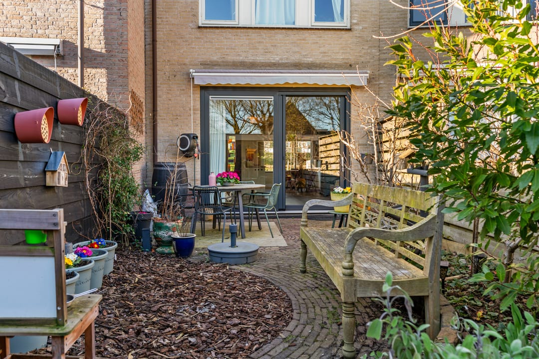 Photo 23 of Daslook 20