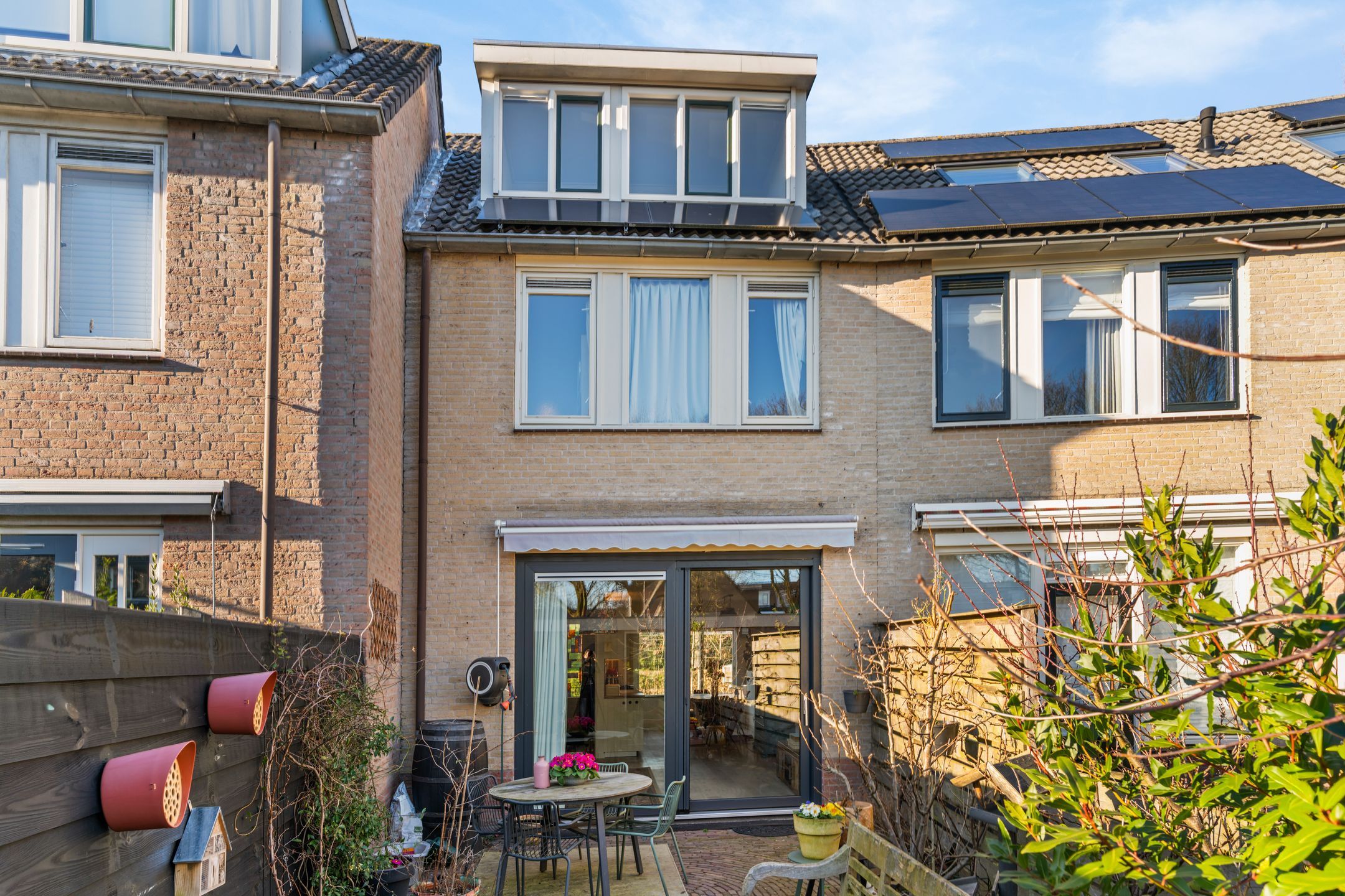 Photo 24 of Daslook 20