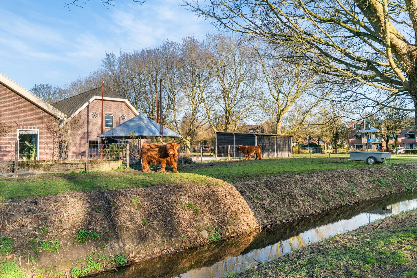 Photo 25 of Daslook 20