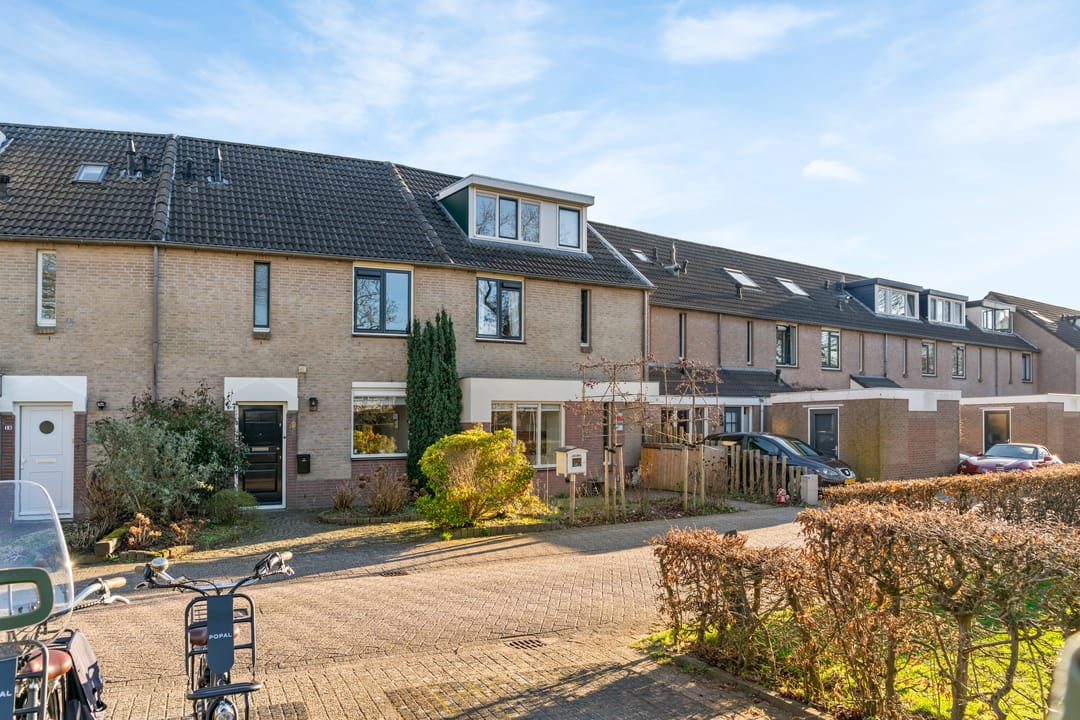 Photo 26 of Daslook 20