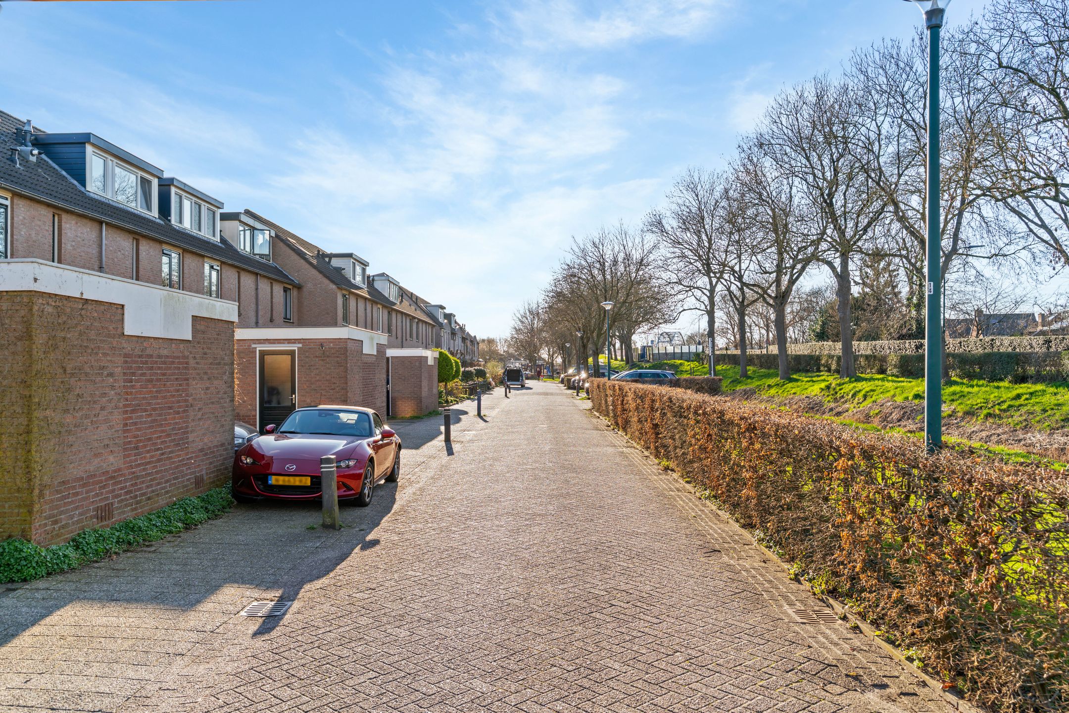 Photo 27 of Daslook 20