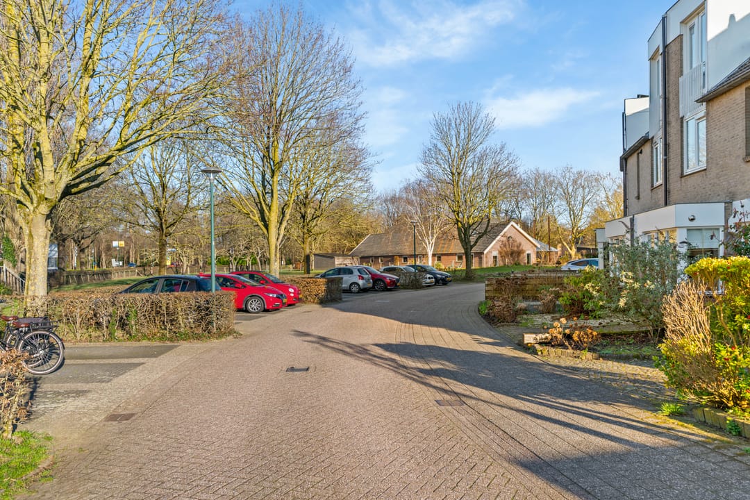 Photo 28 of Daslook 20