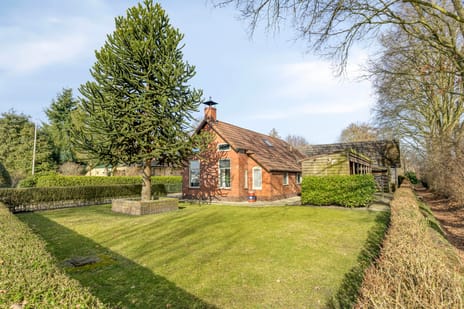 undefined main image