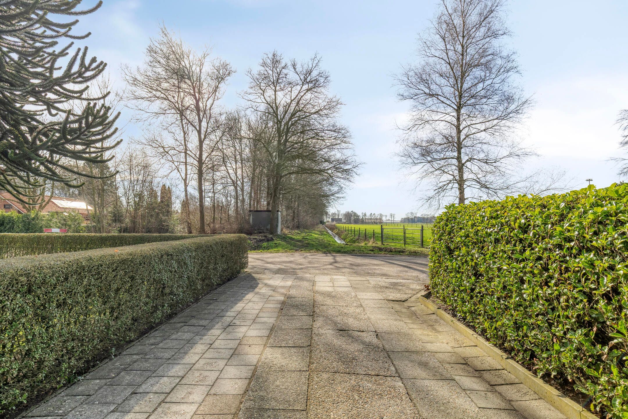 Foto 9 van Beneden Veensloot 19