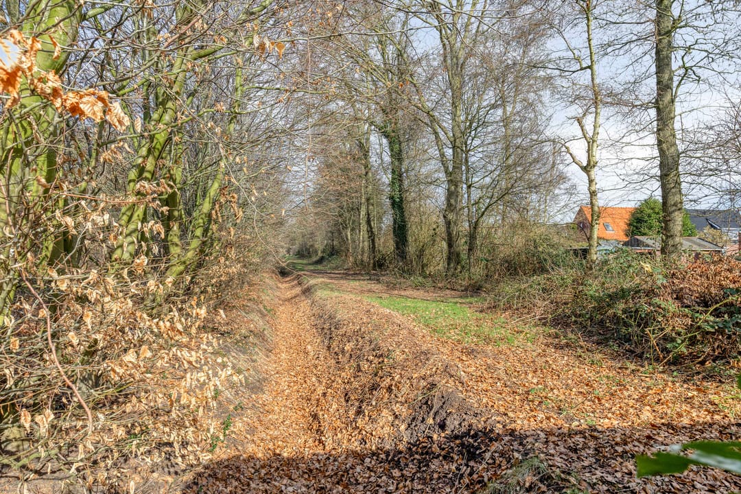 Foto 62 van Beneden Veensloot 19