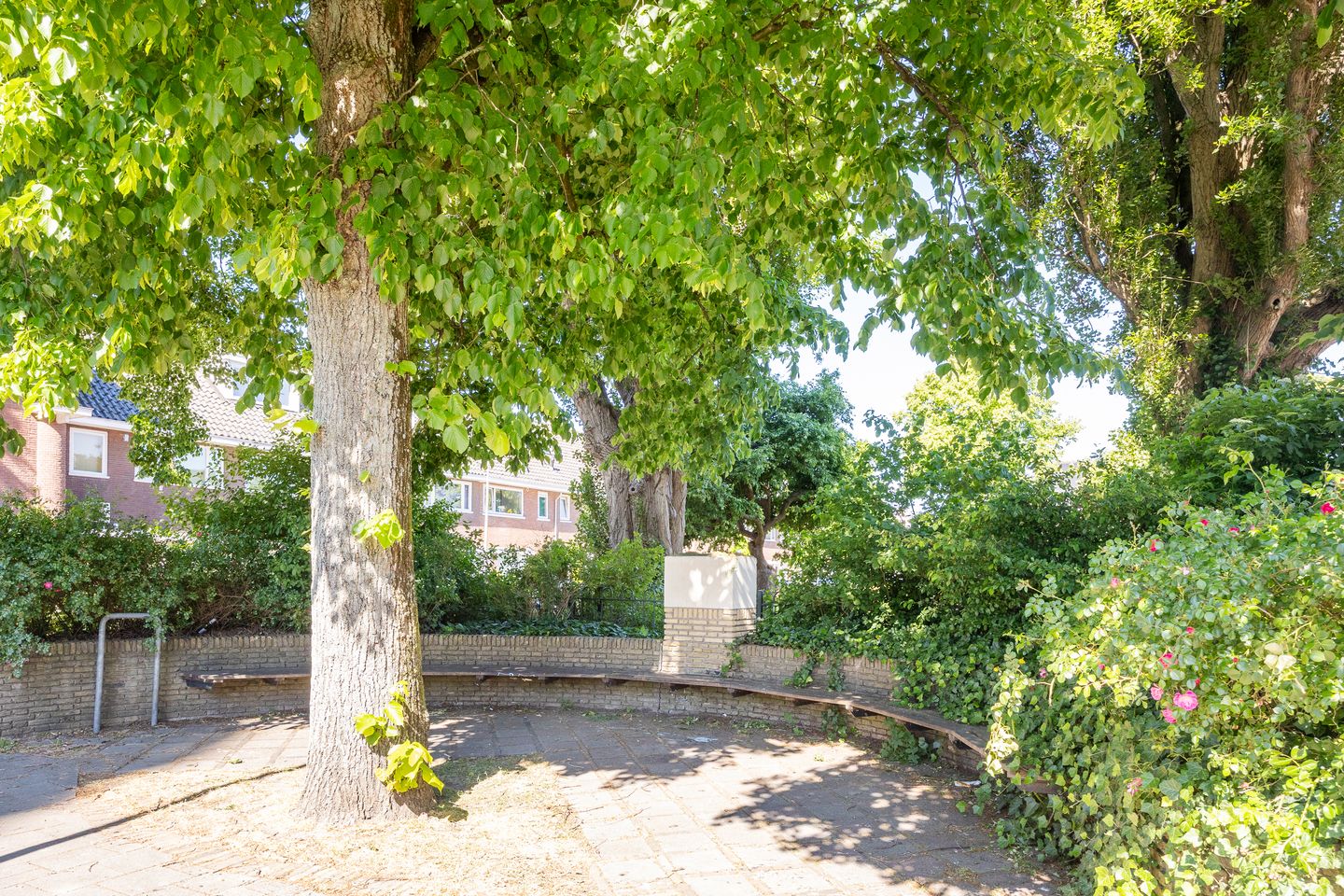 Foto 20 van C. van Maasdijkstraat 36