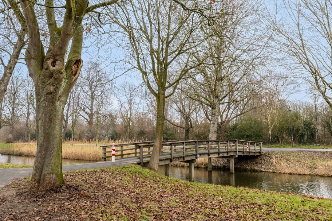 Foto 38 van Adriaen Willaertstraat 39