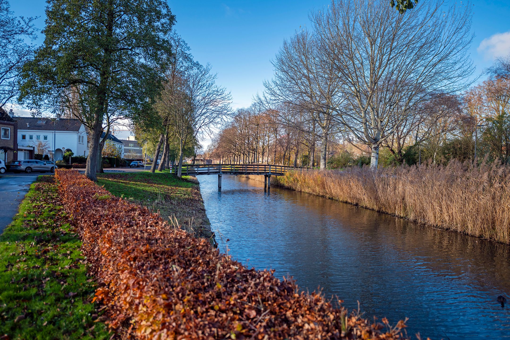 Foto 39 van Adriaen Willaertstraat 39