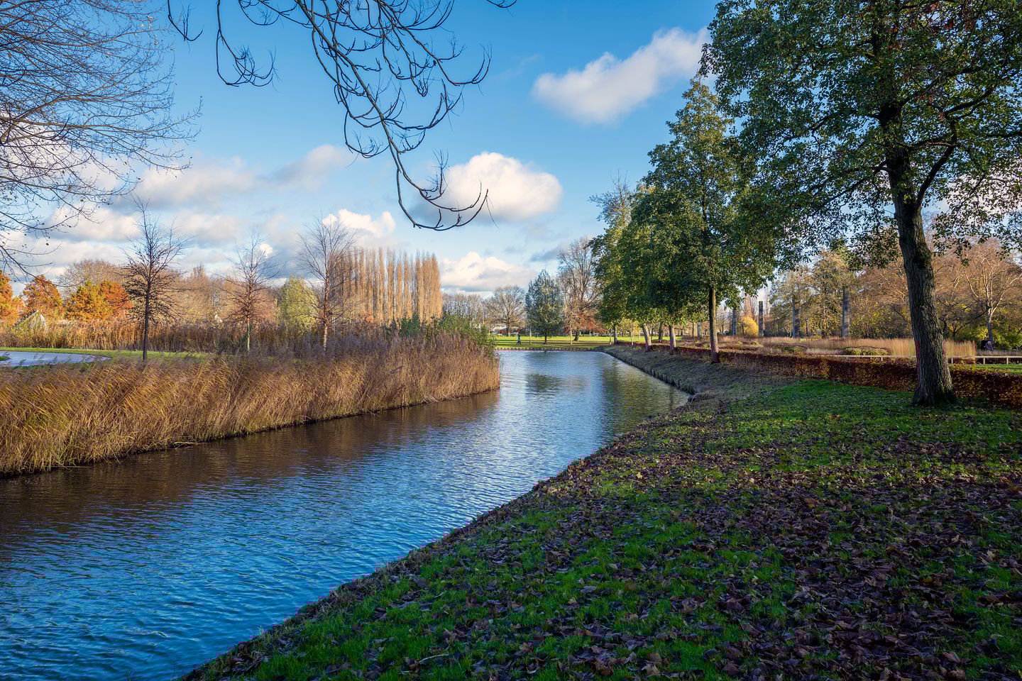 Foto 40 van Adriaen Willaertstraat 39