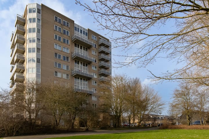 Rosa Spierlaan 40 main image