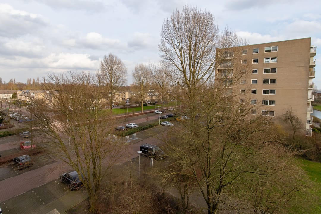 Photo 28 of Rosa Spierlaan 40