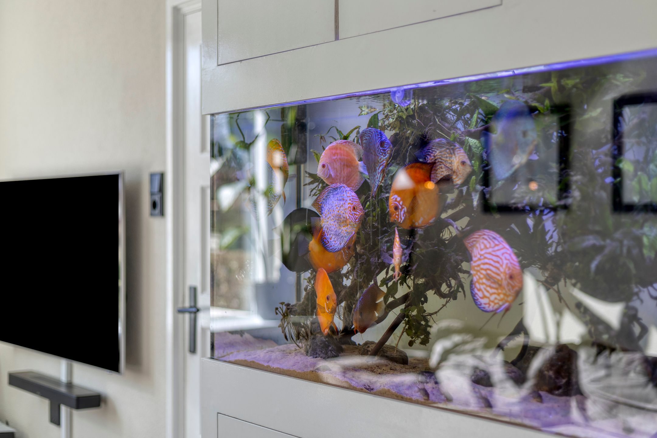 Foto 9 van P. Wierengaweg 20