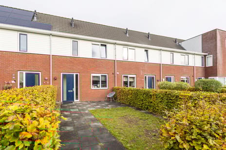 undefined main image