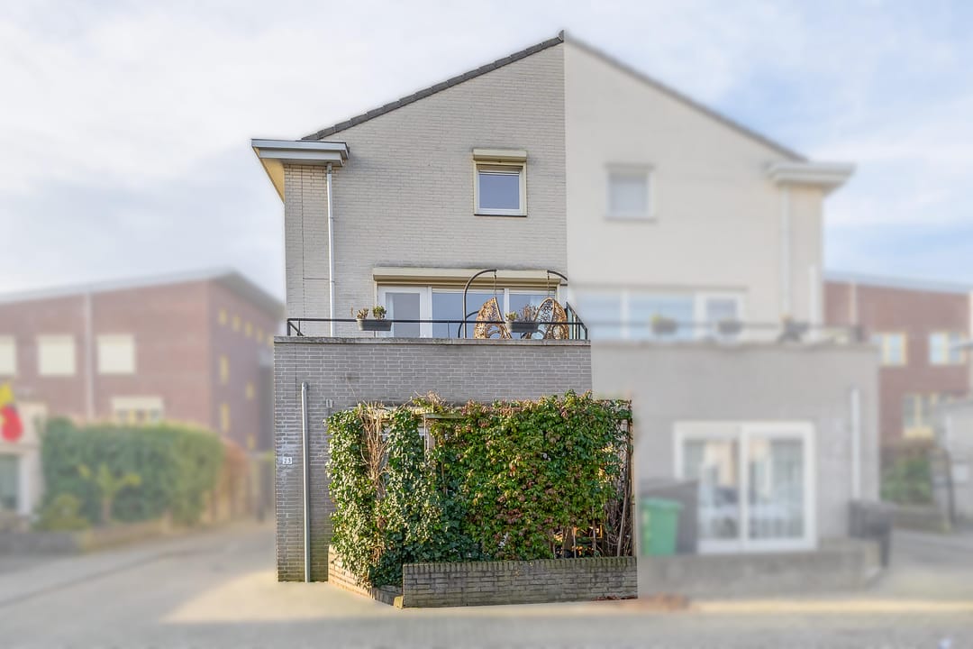 Foto 2 van Zwanebloem 23