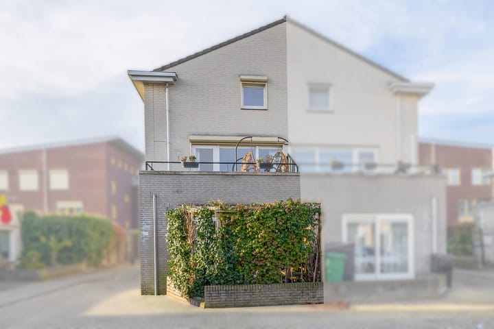 Foto 2 van Zwanebloem 23