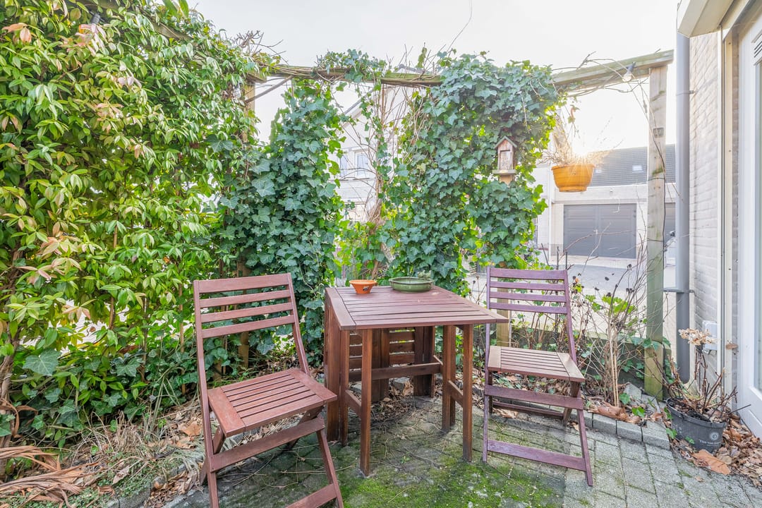 Foto 13 van Zwanebloem 23