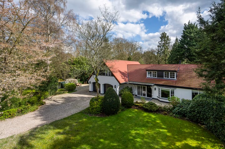 Vredelaan 76 main image