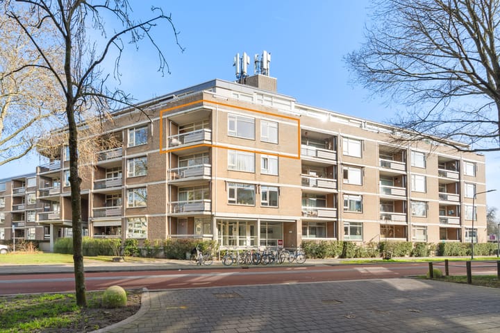 Adriaan van Bergenstraat 100 main image