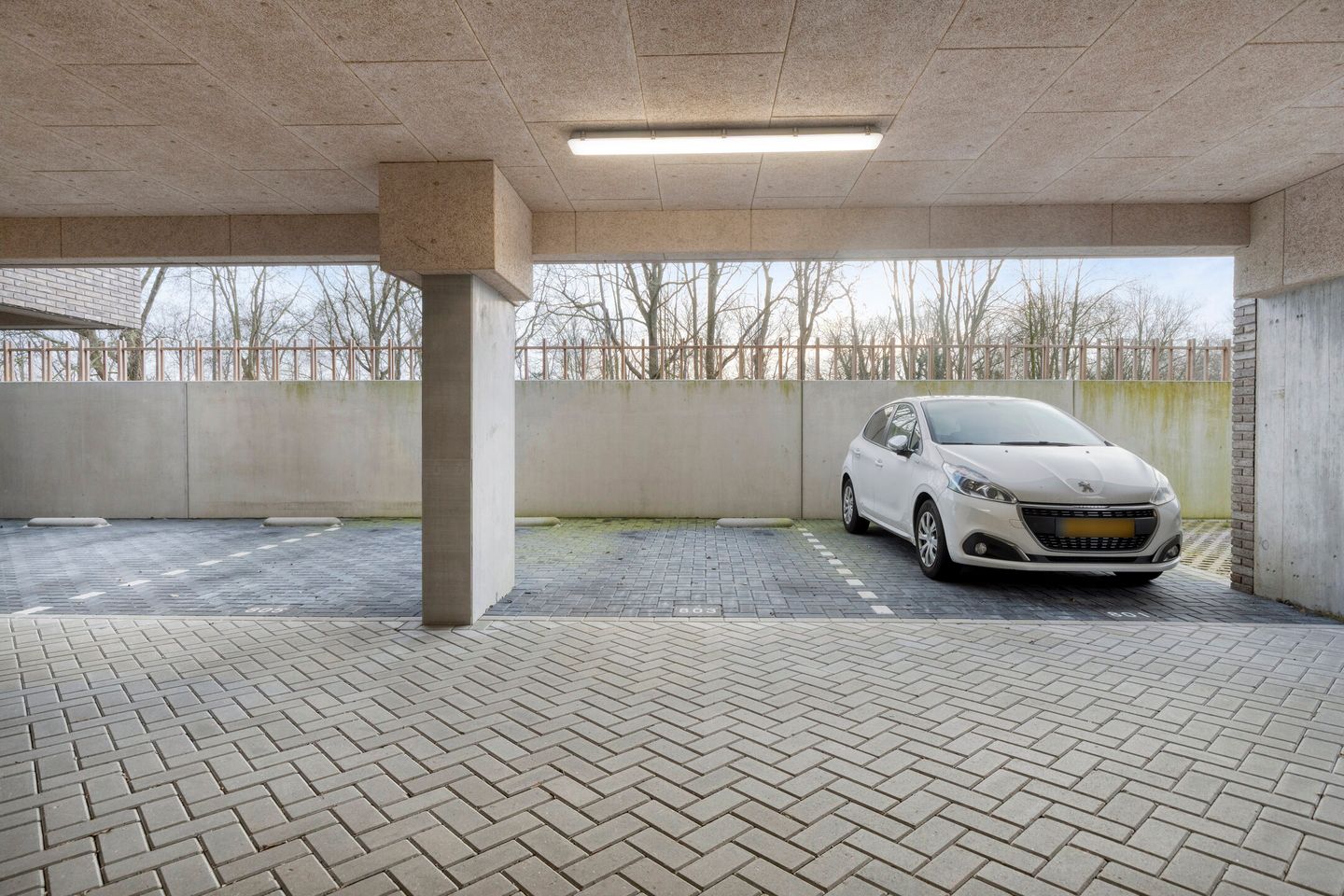 Foto 25 van Picassolaan 803