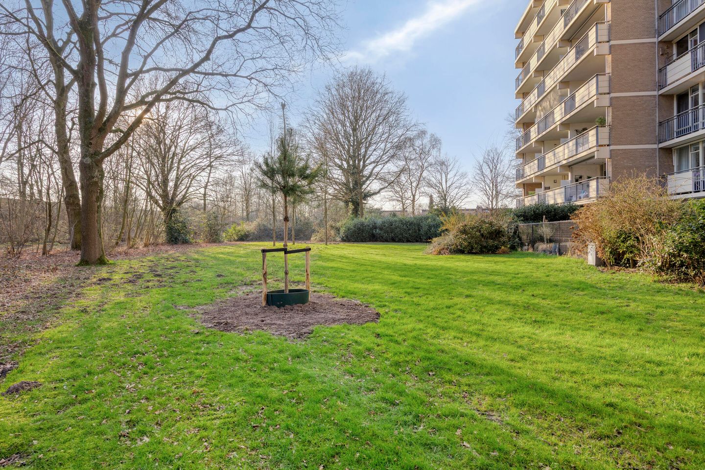 Foto 19 van Papendonk 3