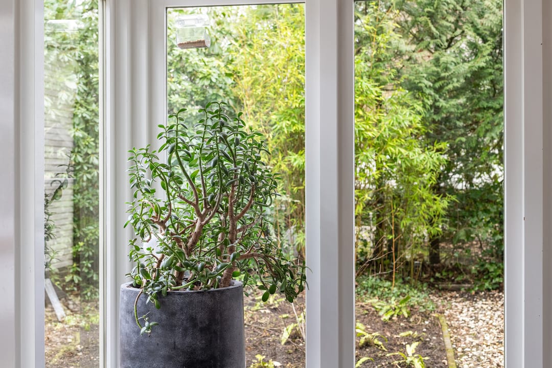 Foto 32 van Bosweg 105