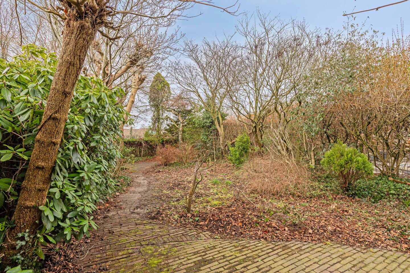 Photo 10 of Willem van Oranjelaan 25