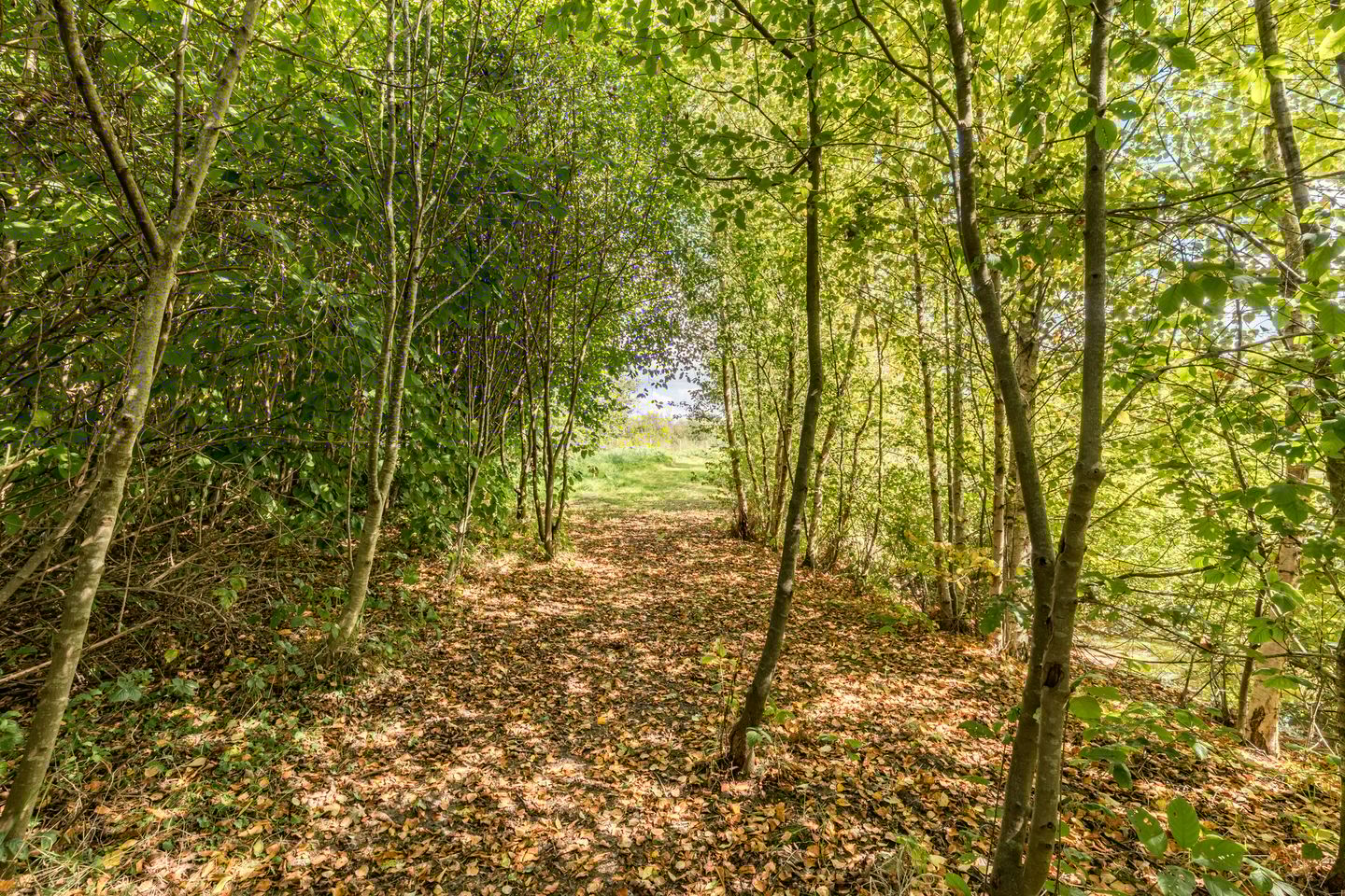 Bekijk foto 4 van Moraineweg 22