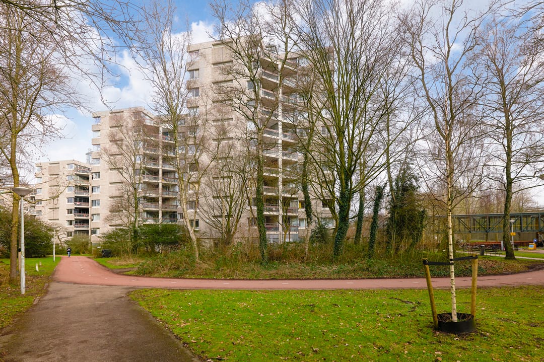 Foto 1 van Gouden Leeuw 328