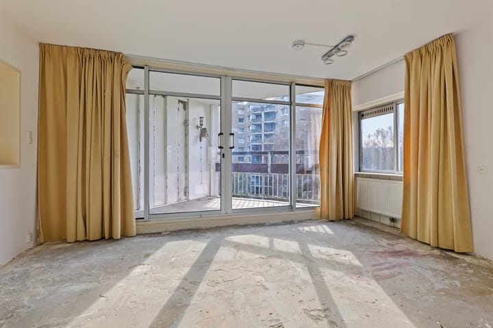 Photo 2 of Gouden Leeuw 328