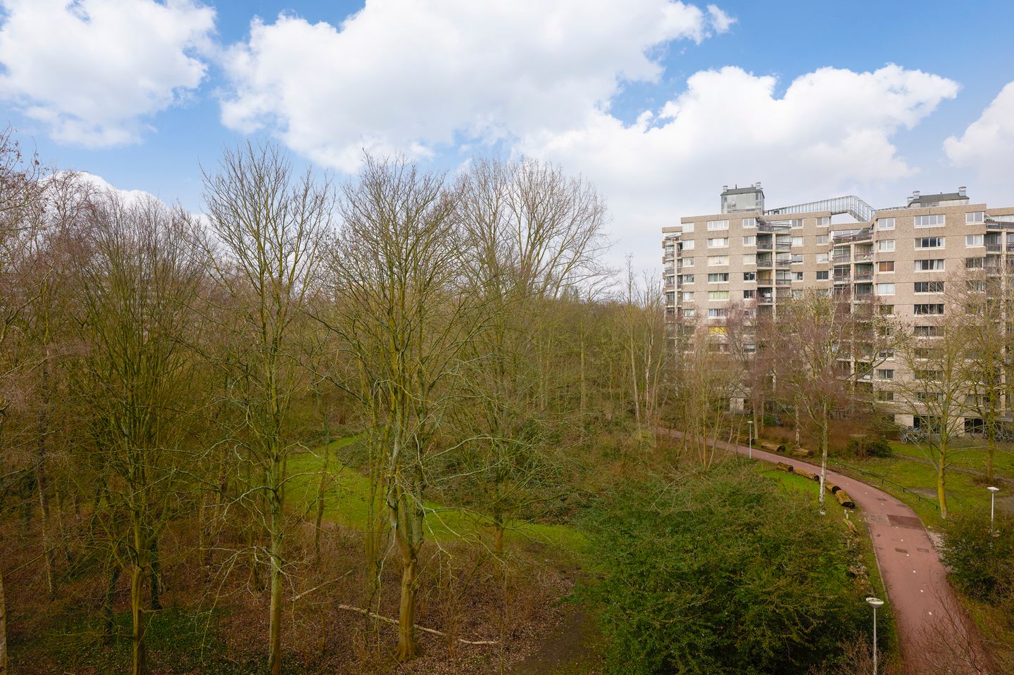 Foto 5 van Gouden Leeuw 328