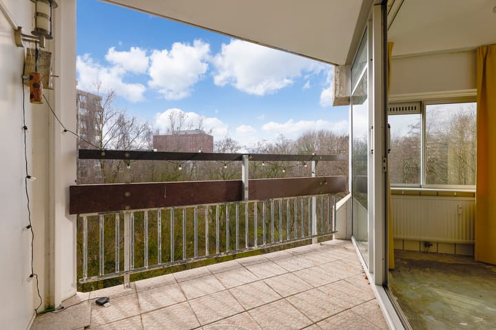 Photo 4 of Gouden Leeuw 328