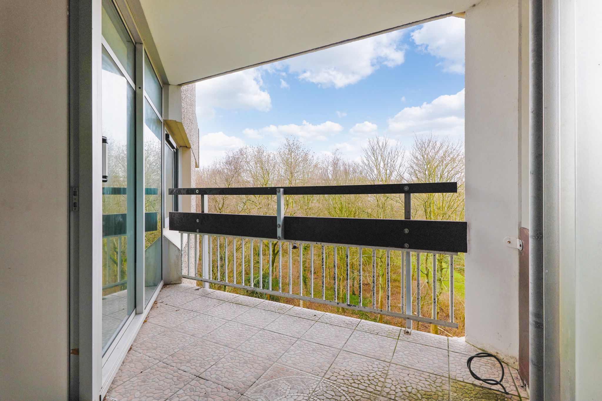 Foto 18 van Gouden Leeuw 328