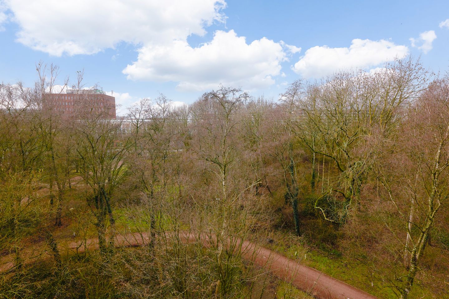 Foto 19 van Gouden Leeuw 328