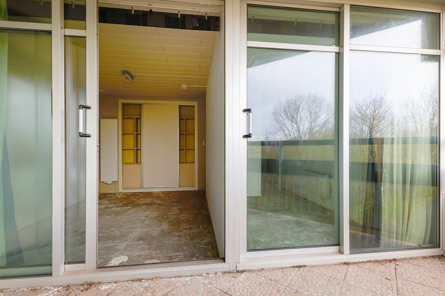 Foto 20 van Gouden Leeuw 328