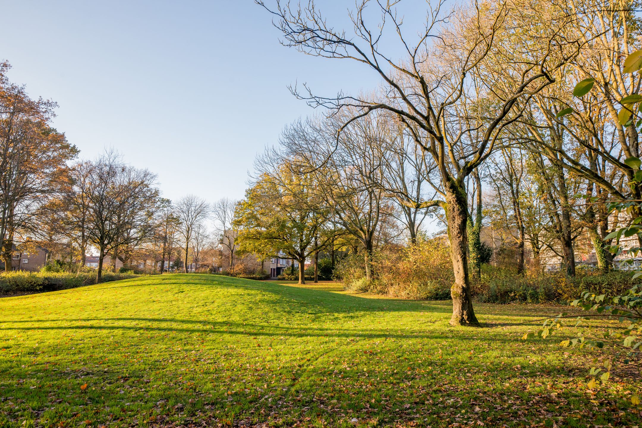 Foto 21 van Jan Vermeerstraat 289