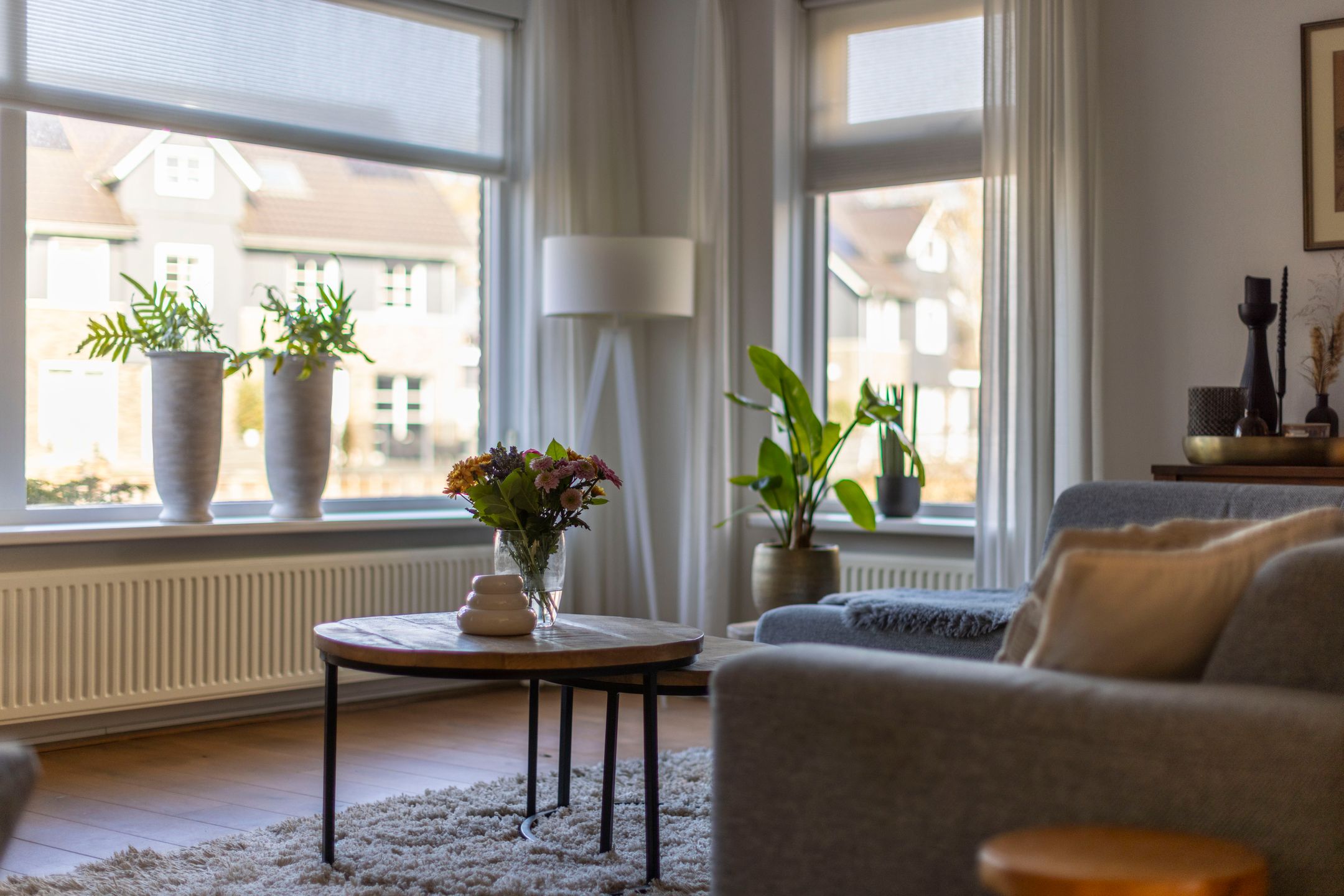 Foto 12 van Saffier 12