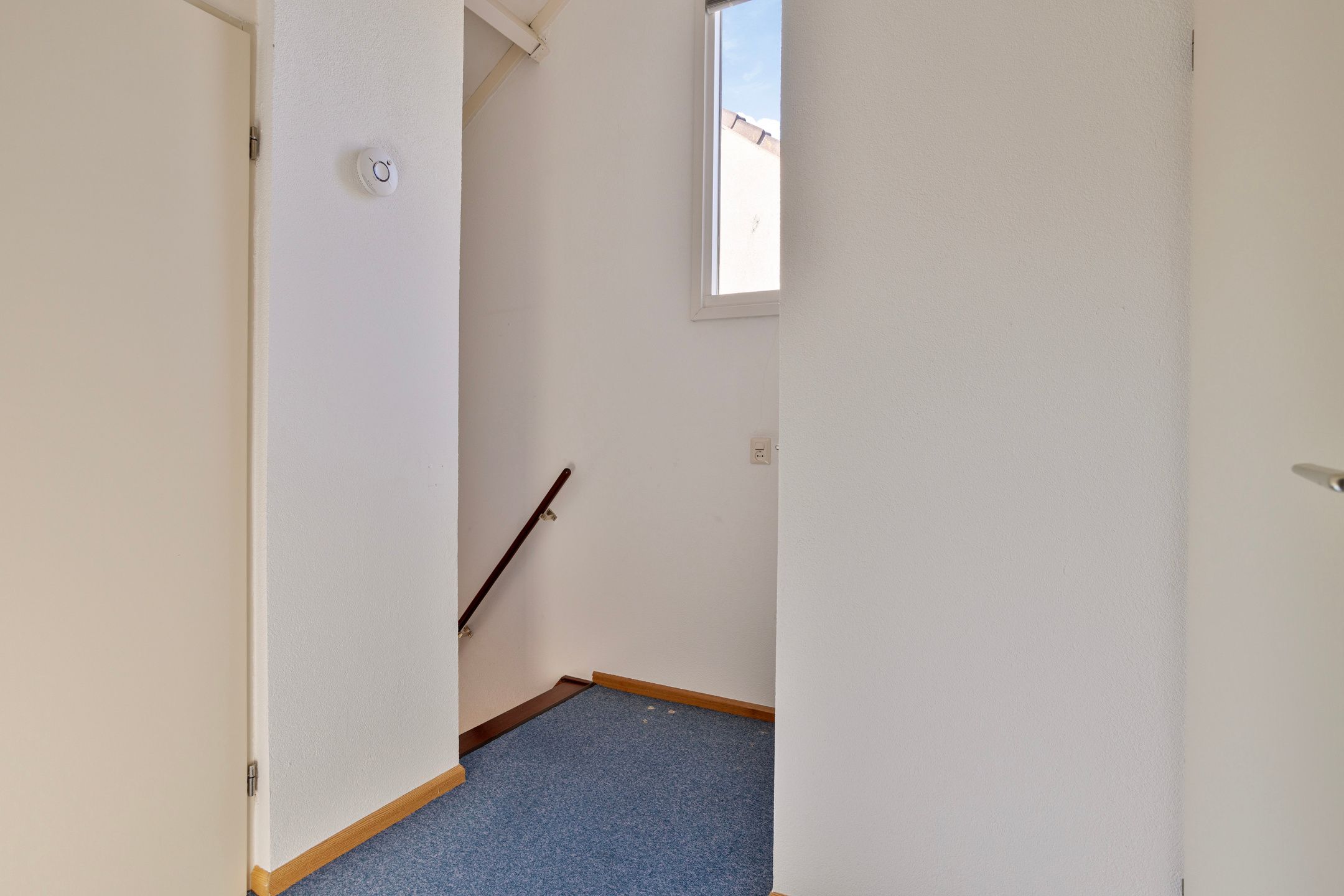 Foto 18 van Bijenhof 5