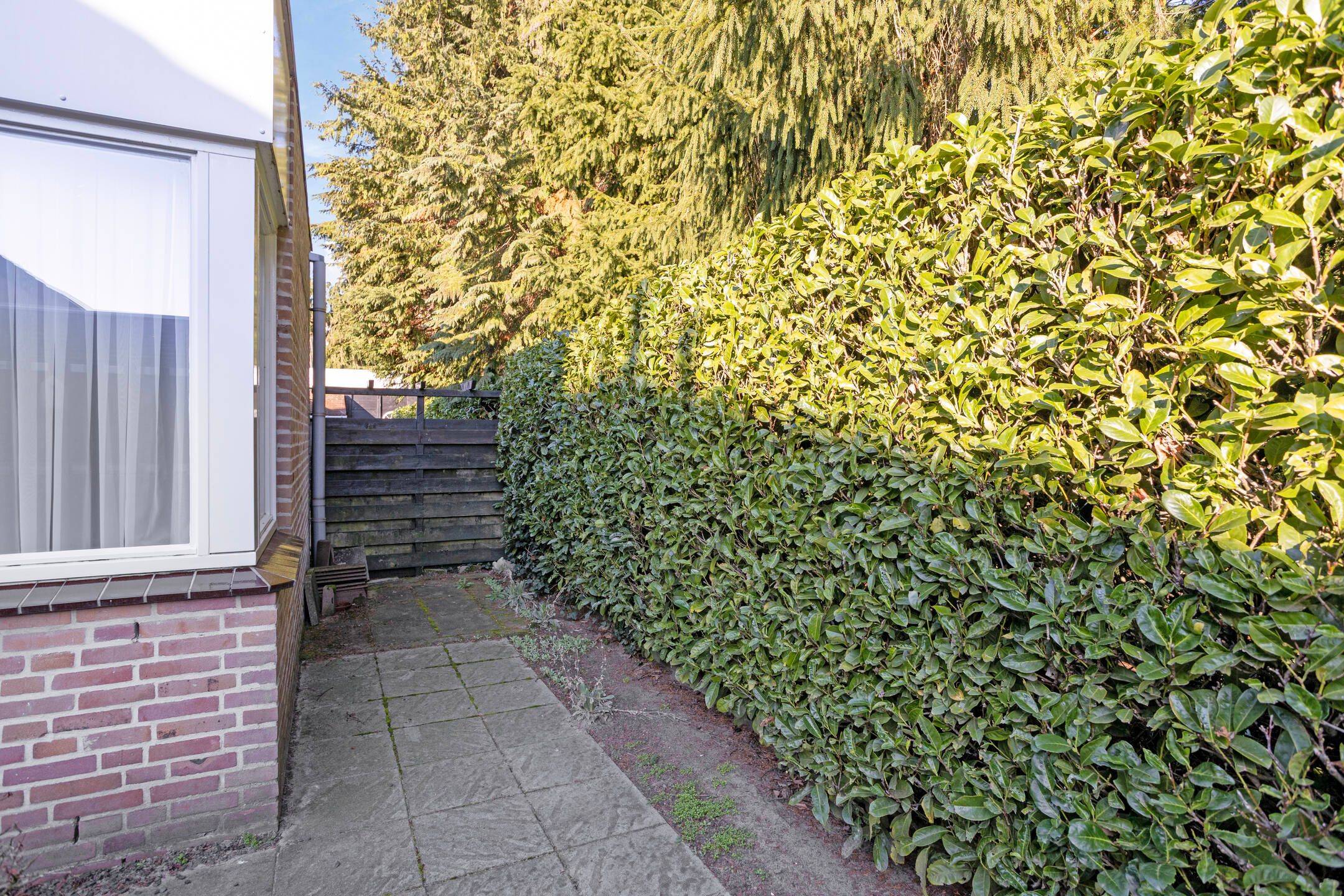 Foto 30 van Bijenhof 5