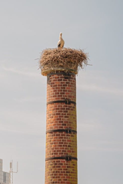 Foto 28 van Bredeweg 16-H