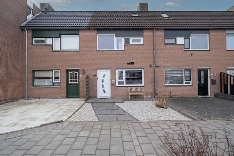 undefined main image