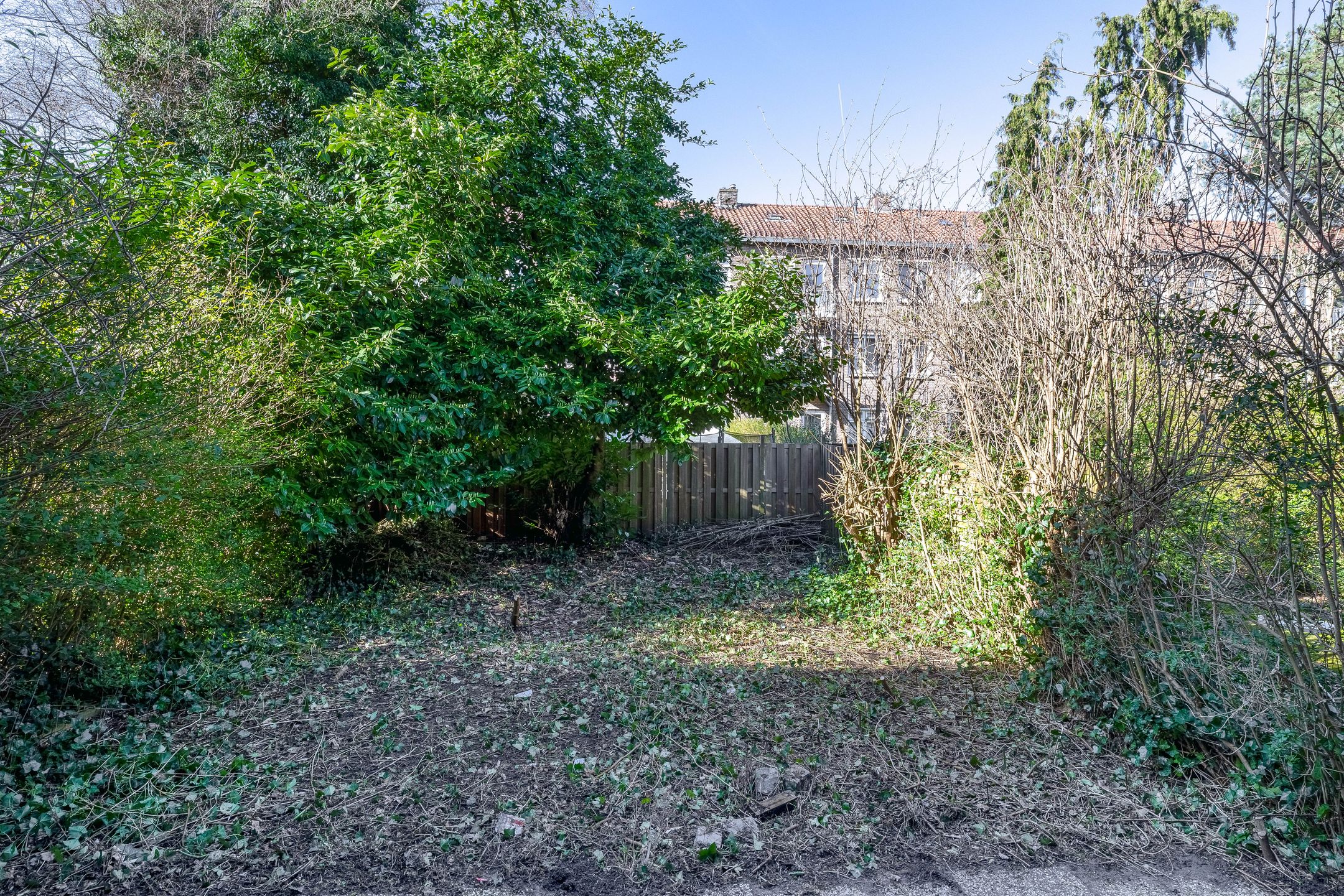 Photo 3 of Madeliefstraat 47-A