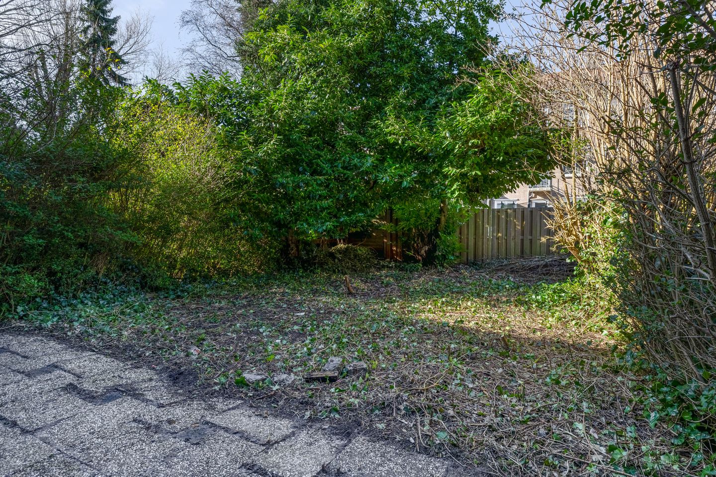 Photo 29 of Madeliefstraat 47-A