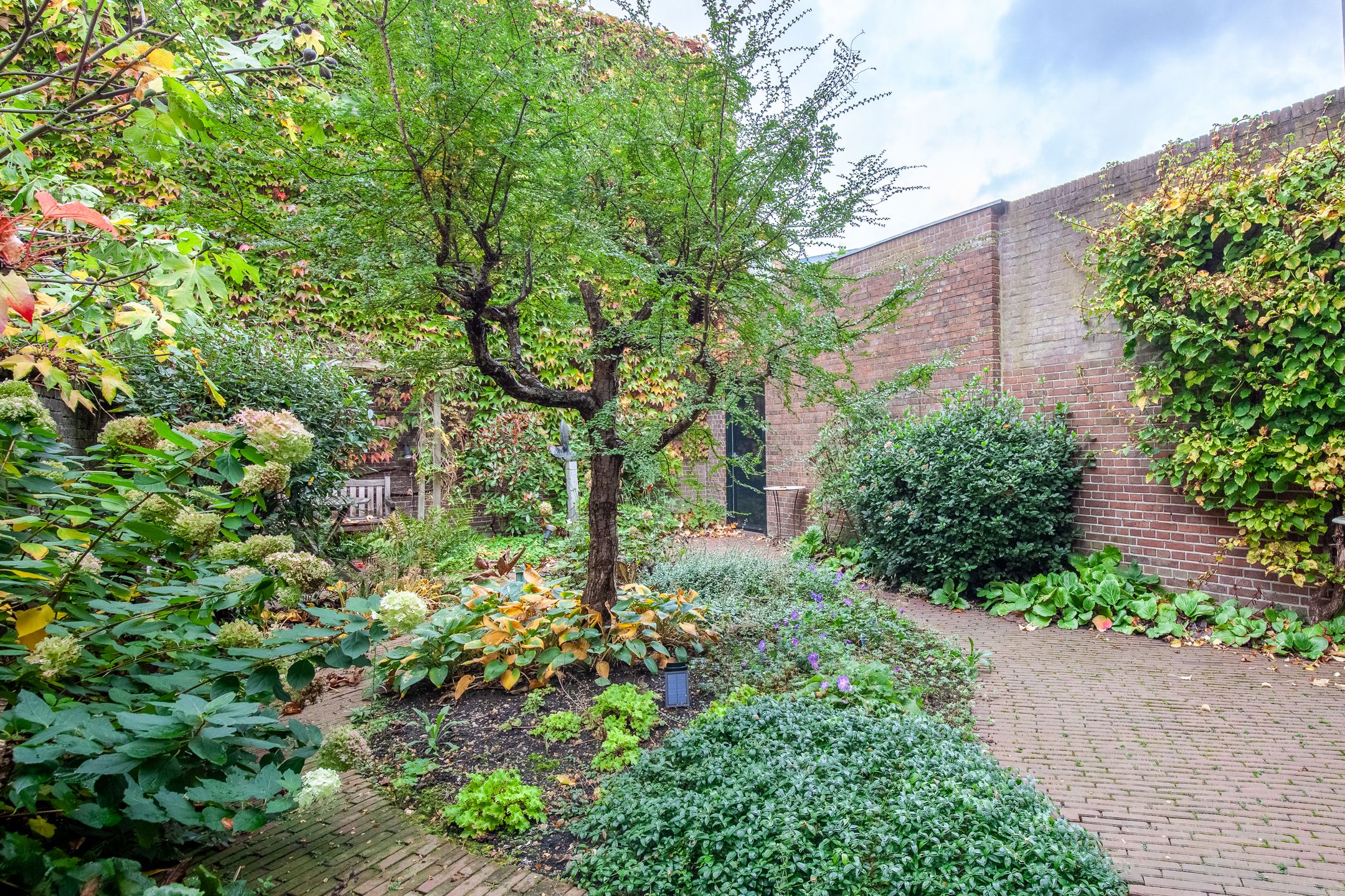 Foto 24 van Wittevrouwensingel 97